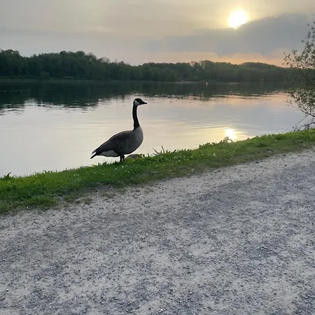 Unterstrich Baldeneysee Auf I Ns T A Anschreiben 别墅 埃森